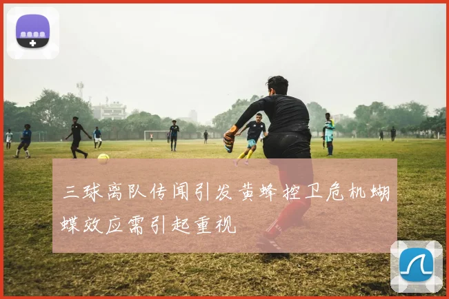 三球离队传闻引发黄蜂控卫危机蝴蝶效应需引起重视