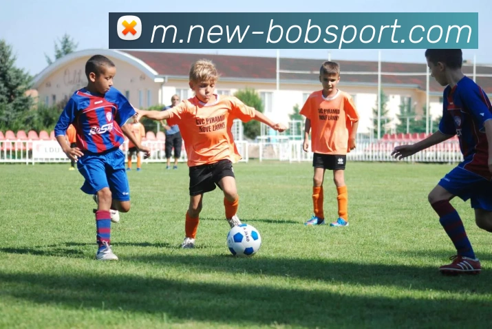 BOB体育APP 体育赛事宣传图